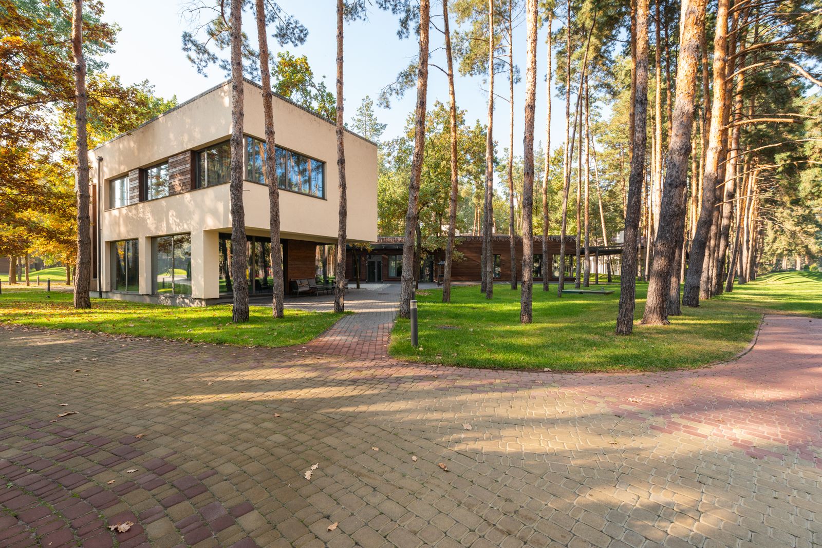 Contemporary home among tall trees